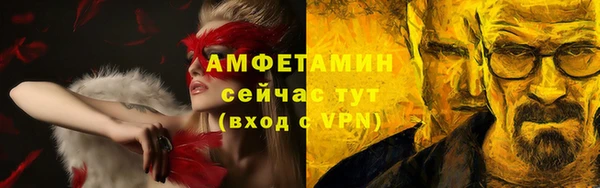 ПСИЛОЦИБИНОВЫЕ ГРИБЫ Ельня