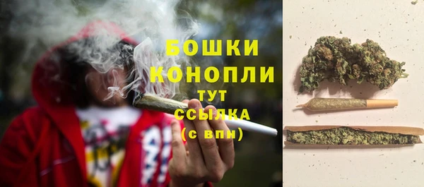 МДПВ Елабуга