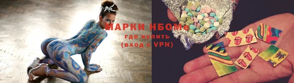 ПСИЛОЦИБИНОВЫЕ ГРИБЫ Ельня