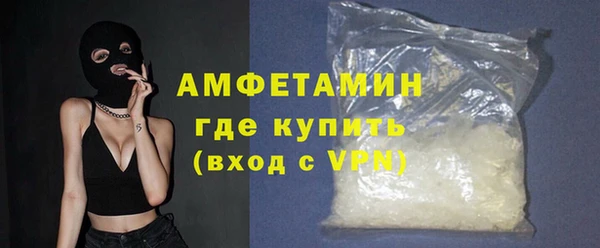 ПСИЛОЦИБИНОВЫЕ ГРИБЫ Ельня