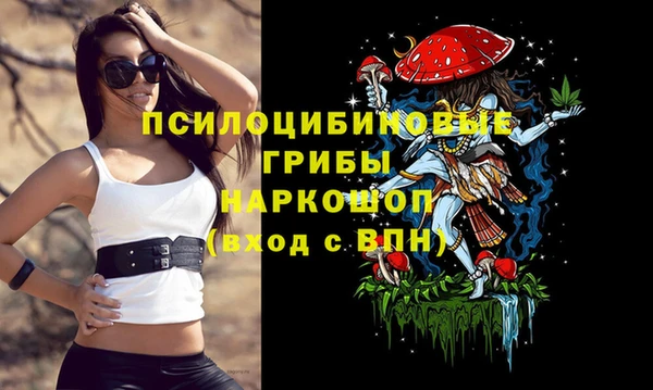 МДПВ Елабуга
