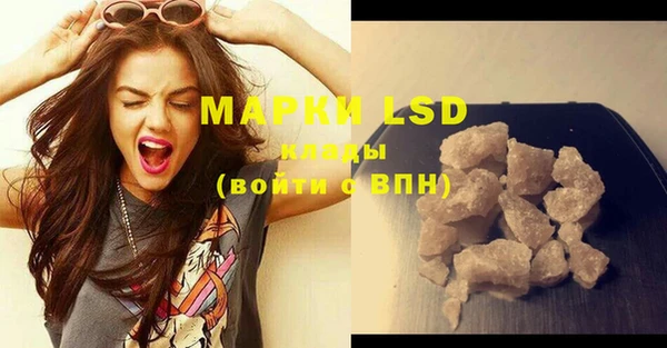 ПСИЛОЦИБИНОВЫЕ ГРИБЫ Ельня