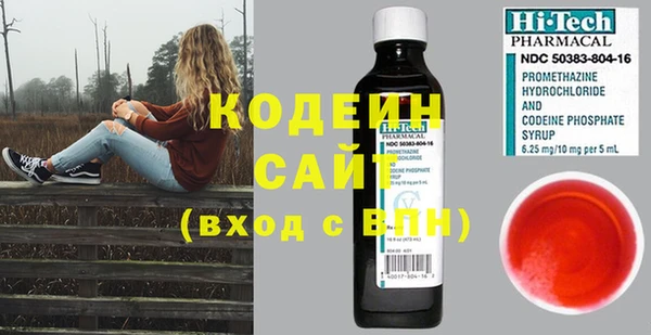 метадон Елизово