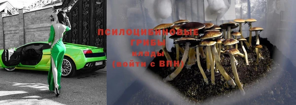 кокаин премиум Заводоуковск